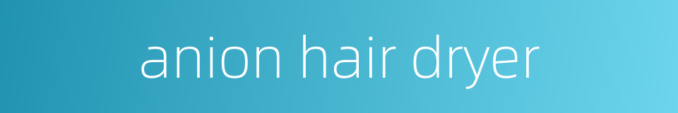 anion hair dryer的同义词