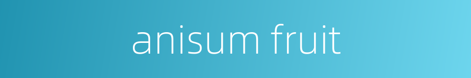 anisum fruit的同义词