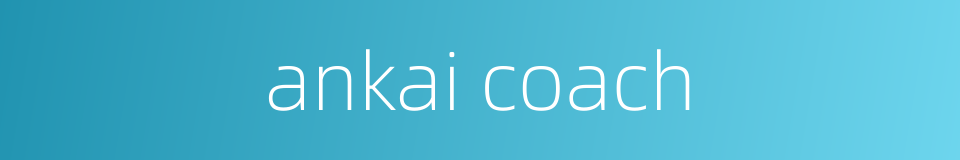 ankai coach的同义词
