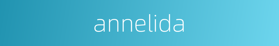 annelida的同义词