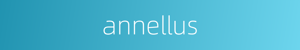 annellus的同义词