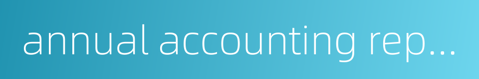 annual accounting report的同义词