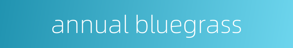 annual bluegrass的同义词