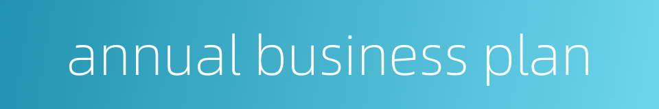 annual business plan的同义词