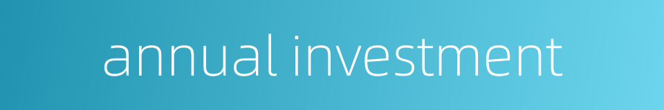 annual investment的同义词