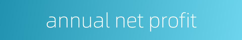 annual net profit的同义词