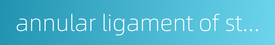 annular ligament of stapes的同义词