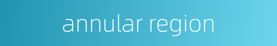 annular region的同义词