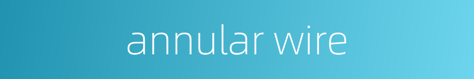 annular wire的同义词