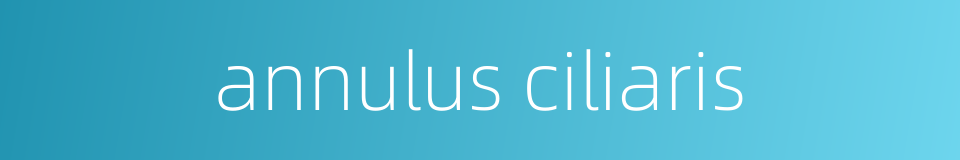 annulus ciliaris的同义词