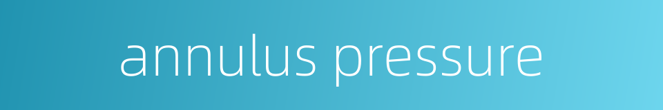 annulus pressure的同义词