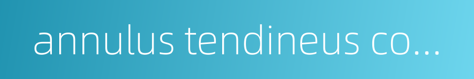 annulus tendineus communis的同义词