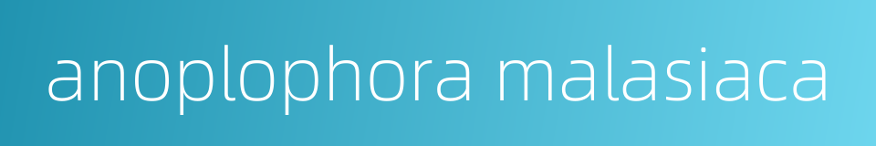 anoplophora malasiaca的同义词