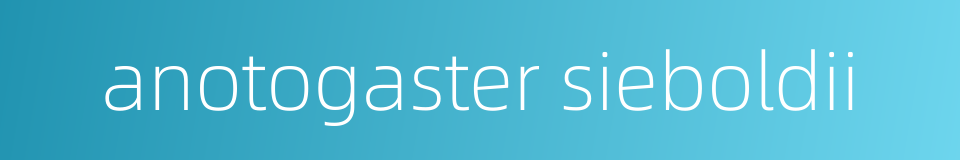 anotogaster sieboldii的同义词