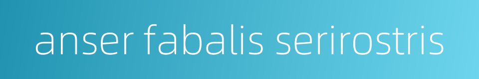 anser fabalis serirostris的同义词