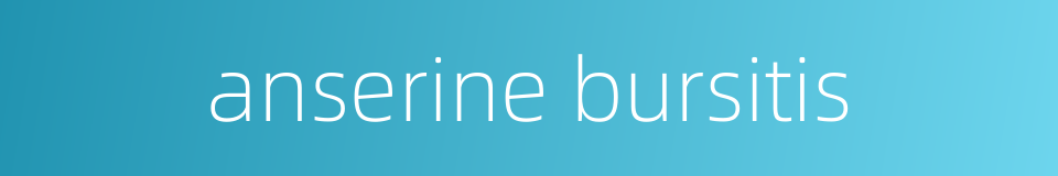 anserine bursitis的同义词