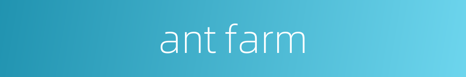 ant farm的同义词