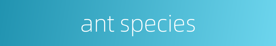 ant species的同义词