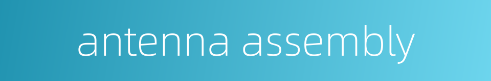 antenna assembly的同义词