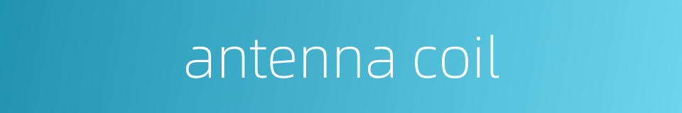 antenna coil的同义词