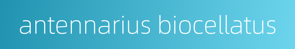 antennarius biocellatus的同义词