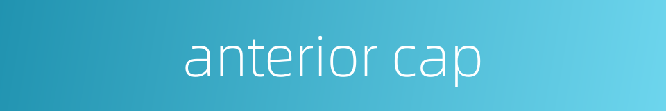 anterior cap的同义词