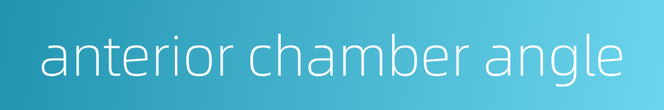 anterior chamber angle的同义词