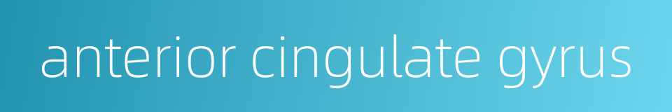 anterior cingulate gyrus的同义词