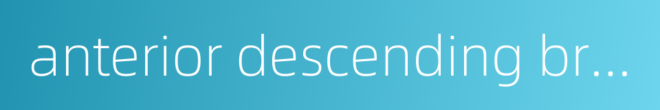 anterior descending branch的同义词