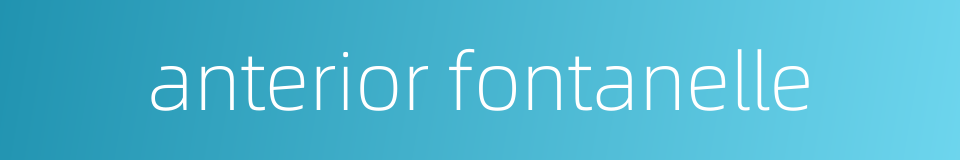 anterior fontanelle的同义词