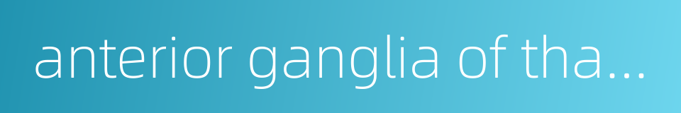 anterior ganglia of thalamus的同义词