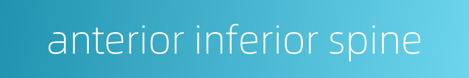 anterior inferior spine的同义词