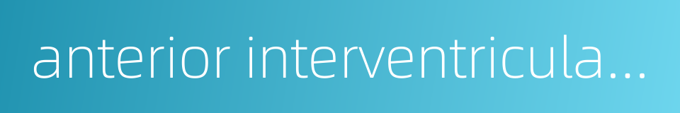 anterior interventricular groove的同义词