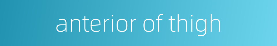 anterior of thigh的同义词