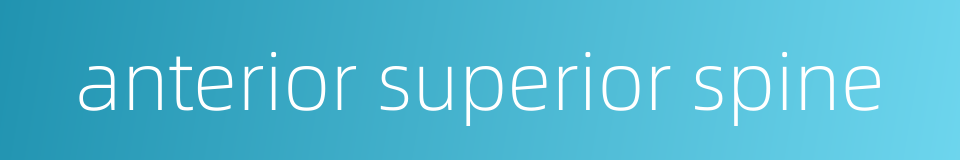 anterior superior spine的同义词