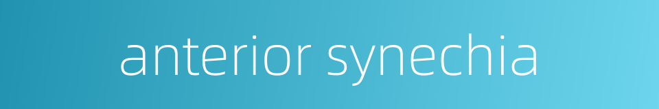 anterior synechia的同义词