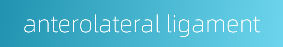 anterolateral ligament的同义词