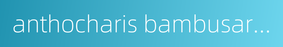 anthocharis bambusarum的同义词