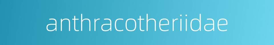 anthracotheriidae的同义词