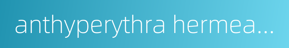 anthyperythra hermearia的同义词