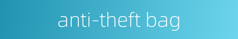 anti-theft bag的同义词