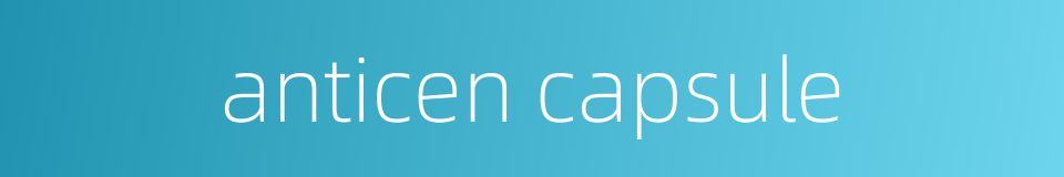 anticen capsule的同义词