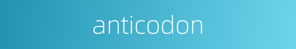 anticodon的同义词