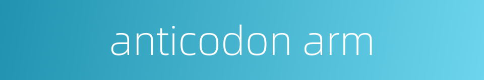 anticodon arm的同义词