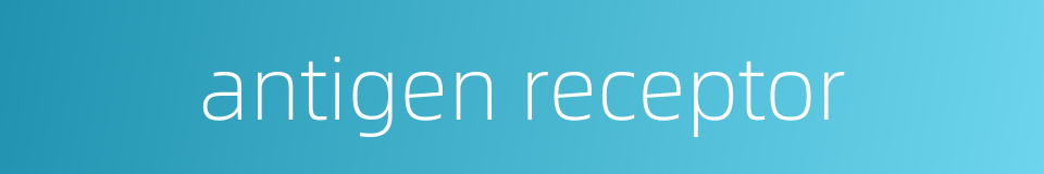 antigen receptor的同义词