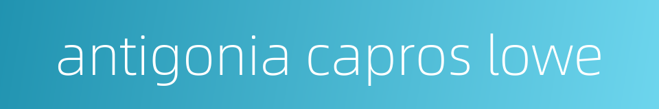 antigonia capros lowe的同义词