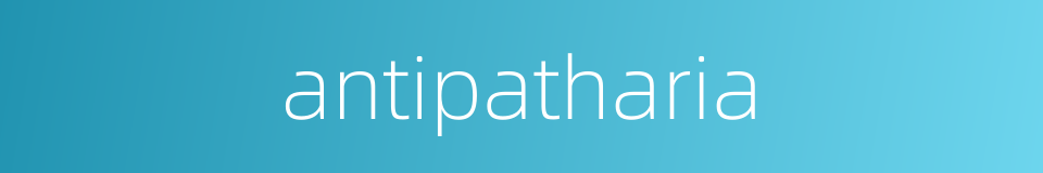 antipatharia的同义词