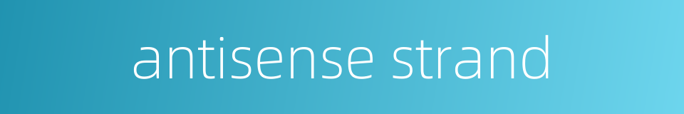 antisense strand的同义词