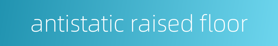 antistatic raised floor的同义词