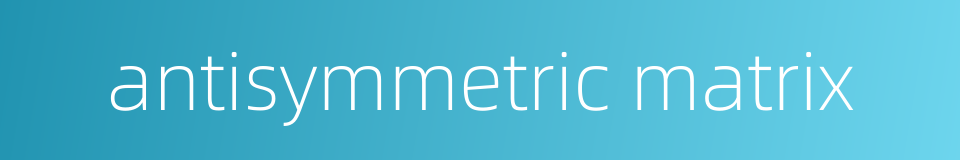 antisymmetric matrix的同义词